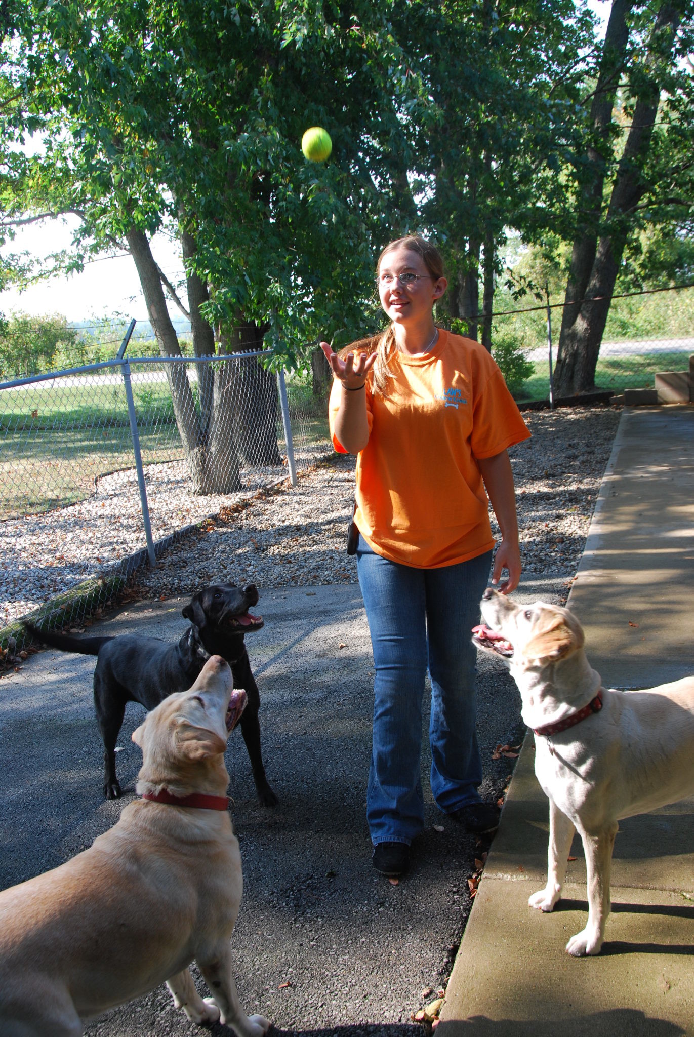 Leaving Pets Behind Law's Country Kennel Fort Wayne, Indiana