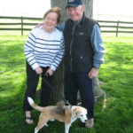 Dog testimonial fort wayne