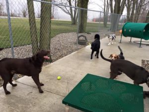 Yard play
