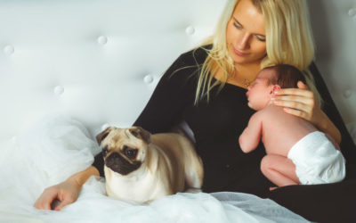 Helpful Hints When Introducing Babies and Dogs