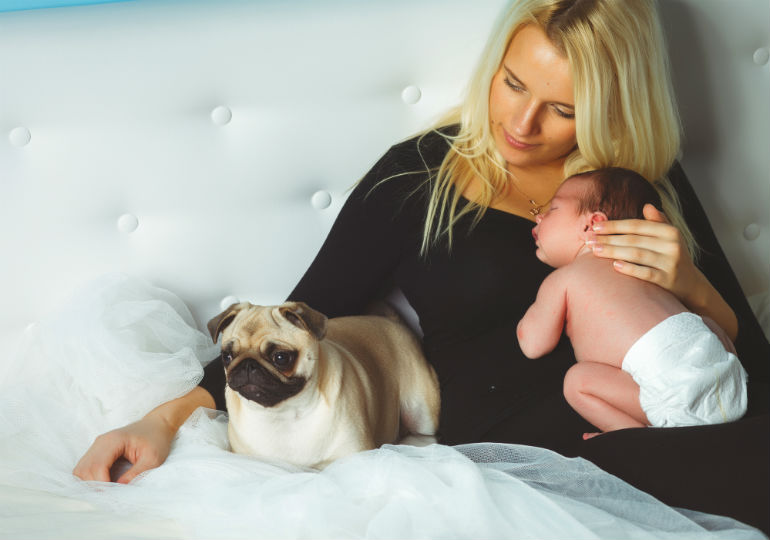 Helpful Hints When Introducing Babies and Dogs