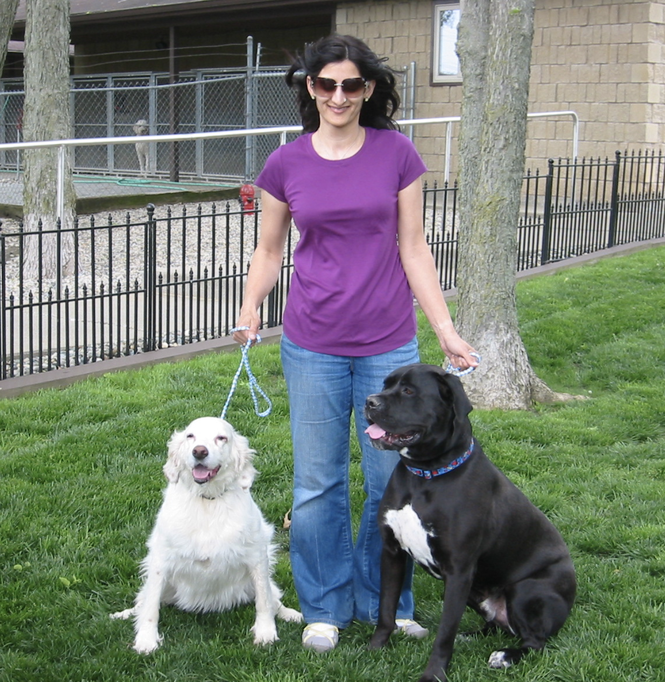 dog grooming fort wayne