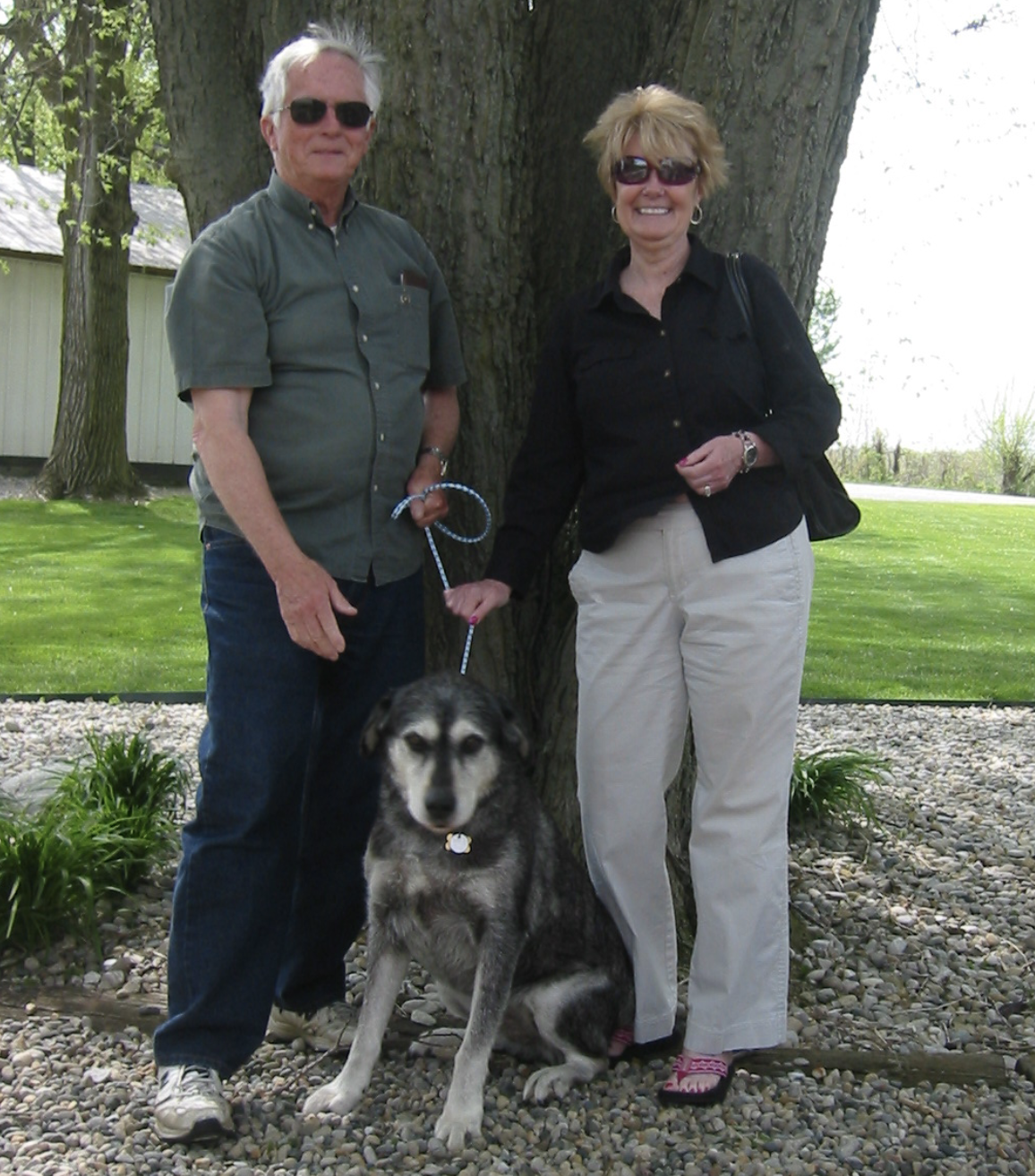 dog-grooming-testimonials-roanoke - Law’s Country Kennel dog-grooming-testimonials-roanoke - Law’s Country Kennel