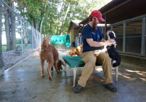 doggy day care fort wayne