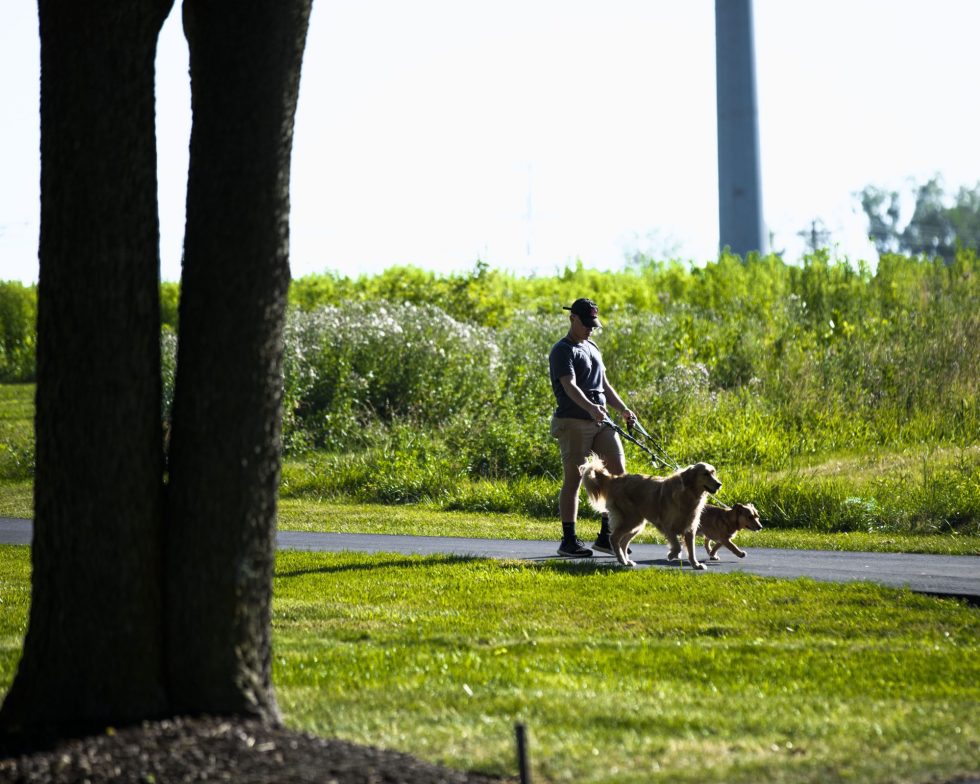 Law's County Kennel Dogs and Cats Fort Wayne and Roanoke