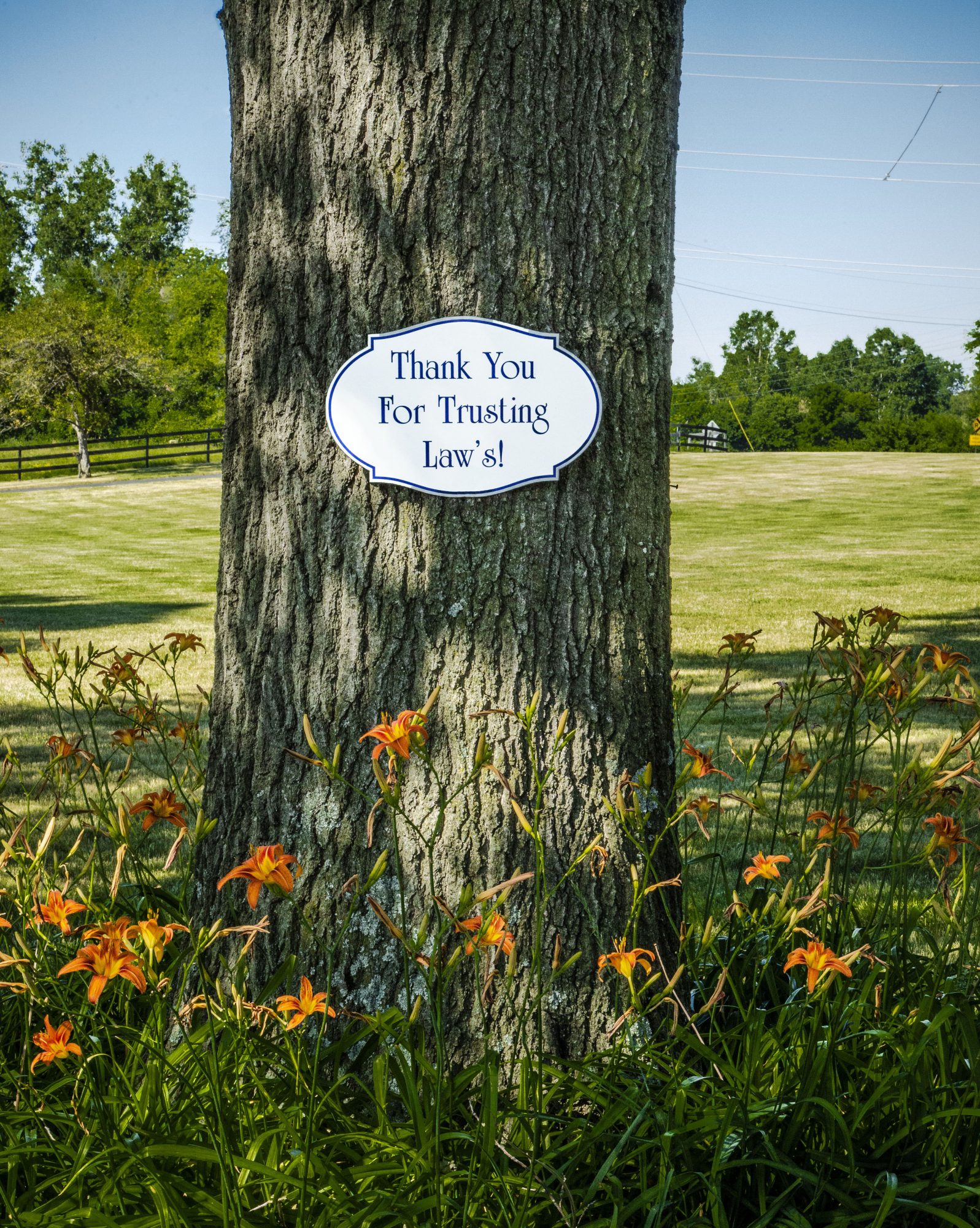 Sign on a tree that says, "Thank you for trusting Law's"
