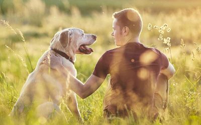 Hooray for Dog Dads