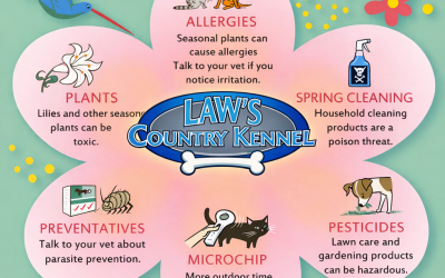 Springtime Safety Tips